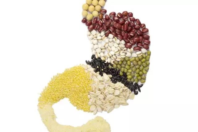 長(zhǎng)夏養(yǎng)生，吃出好“ 胃”口！