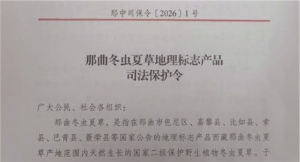 多部門發(fā)布《那曲冬蟲夏草地理標(biāo)志產(chǎn)品司法保護(hù)令》
